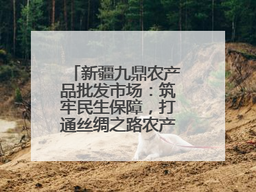 新疆九鼎农产品批发市场：筑牢民生保障，打通丝绸之路农产品贸易枢纽