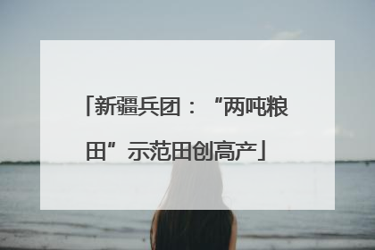 新疆兵团：“两吨粮田”示范田创高产