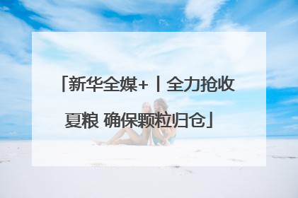 新华全媒+丨全力抢收夏粮 确保颗粒归仓