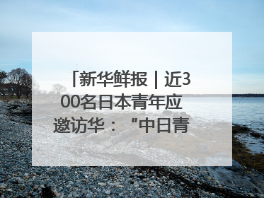 新华鲜报｜近300名日本青年应邀访华：“中日青年可以创造更好的未来”