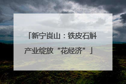 新宁崀山：铁皮石斛产业绽放“花经济”