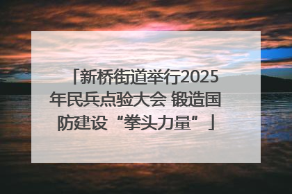 新桥街道举行2025年民兵点验大会 锻造国防建设“拳头力量”