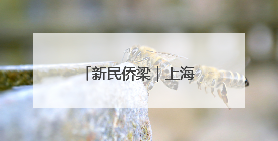 新民侨梁｜上海嗦面地图：一筷子夹起多国风味