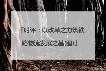 时评：以改革之力筑铁路物流发展之基(图)