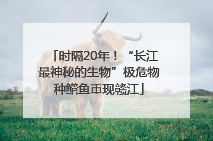 时隔20年！“长江最神秘的生物”极危物种鳤鱼重现赣江