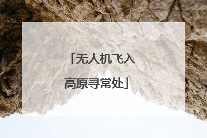 无人机飞入高原寻常处