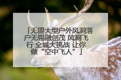 无锡大型户外风洞落户无锡融创茂 风洞飞行 全城大挑战 让你做“空中飞人”