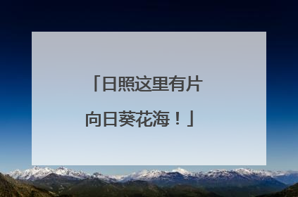 日照这里有片向日葵花海！