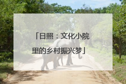 日照：文化小院里的乡村振兴梦