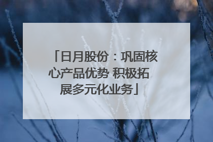 日月股份：巩固核心产品优势 积极拓展多元化业务