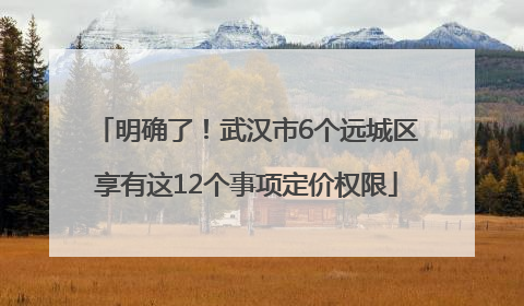 明确了！武汉市6个远城区享有这12个事项定价权限