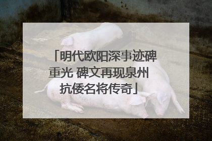 明代欧阳深事迹碑重光 碑文再现泉州抗倭名将传奇