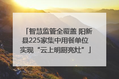 智慧监管全覆盖 阳新县225家集中用餐单位实现“云上明厨亮灶”