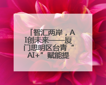智汇两岸，AI创未来——厦门思明区台青“AI+”赋能提升计划启航