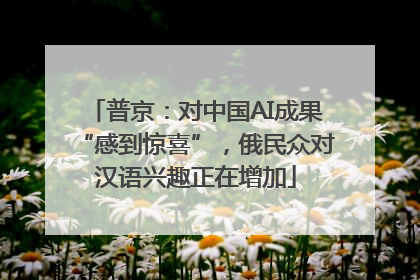 普京：对中国AI成果“感到惊喜”，俄民众对汉语兴趣正在增加