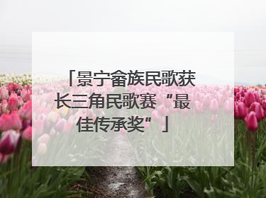 景宁畲族民歌获长三角民歌赛“最佳传承奖”
