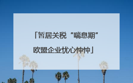 暂居关税“喘息期” 欧盟企业忧心忡忡