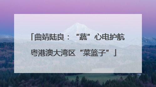 曲靖陆良：“蔬”心电护航粤港澳大湾区“菜篮子”