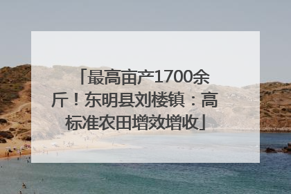 最高亩产1700余斤！东明县刘楼镇：高标准农田增效增收