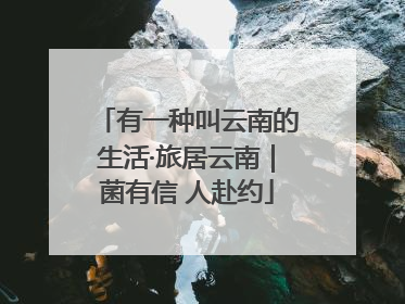 有一种叫云南的生活·旅居云南｜菌有信 人赴约