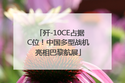 歼-10CE占据C位！中国多型战机亮相巴黎航展