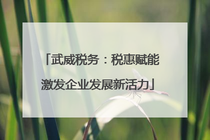 武威税务：税惠赋能 激发企业发展新活力