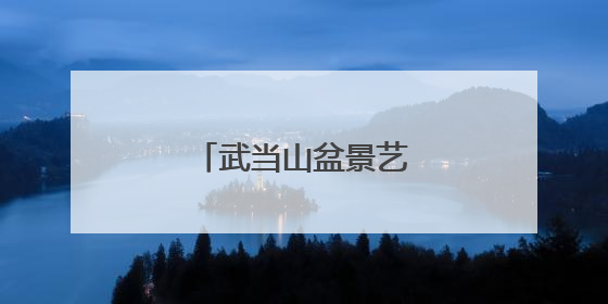 武当山盆景艺术文化展开展