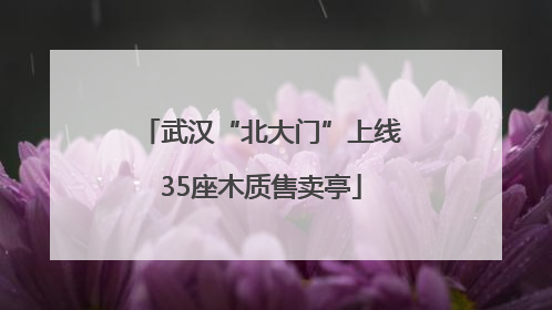 武汉“北大门”上线35座木质售卖亭