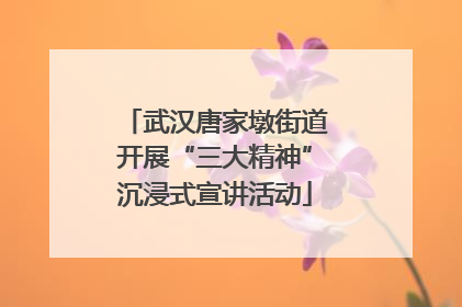 武汉唐家墩街道开展“三大精神”沉浸式宣讲活动