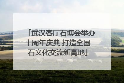 武汉客厅石博会举办十周年庆典 打造全国石文化交流新高地