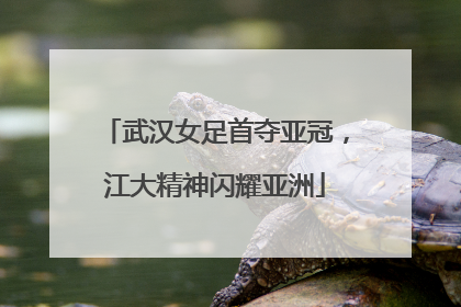 武汉女足首夺亚冠，江大精神闪耀亚洲