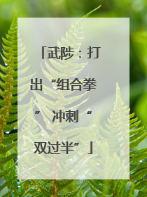 武陟：打出“组合拳” 冲刺“双过半”