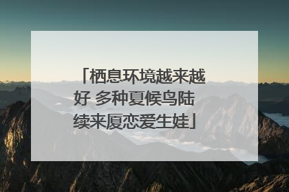 栖息环境越来越好 多种夏候鸟陆续来厦恋爱生娃