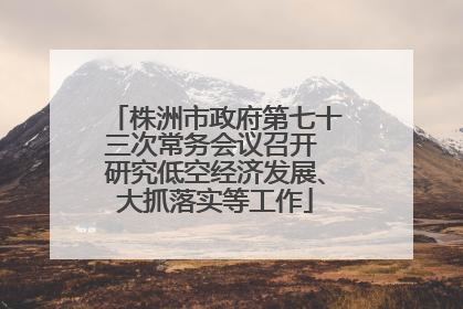 株洲市政府第七十三次常务会议召开 研究低空经济发展、大抓落实等工作