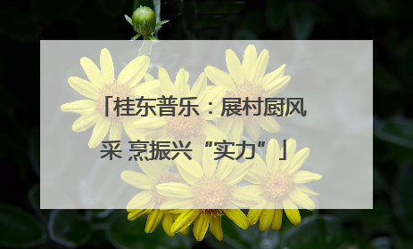桂东普乐：展村厨风采 烹振兴“实力”