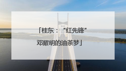 桂东：“红先锋”邓耀明的油茶梦