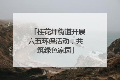 桂花坪街道开展六五环保活动，共筑绿色家园