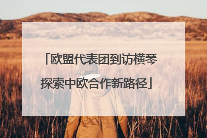 欧盟代表团到访横琴 探索中欧合作新路径