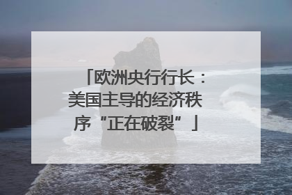 欧洲央行行长：美国主导的经济秩序“正在破裂”