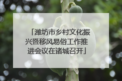 潍坊市乡村文化振兴暨移风易俗工作推进会议在诸城召开