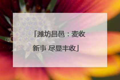 潍坊昌邑：麦收新事 尽显丰收