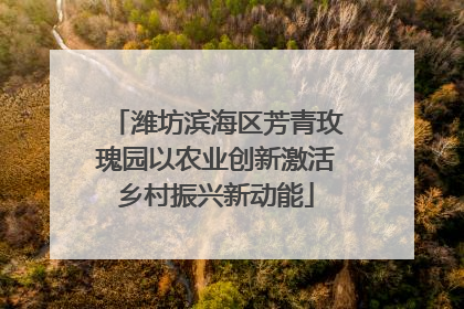 潍坊滨海区芳青玫瑰园以农业创新激活乡村振兴新动能