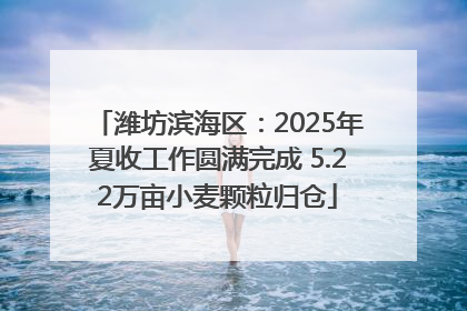潍坊滨海区：2025年夏收工作圆满完成 5.22万亩小麦颗粒归仓