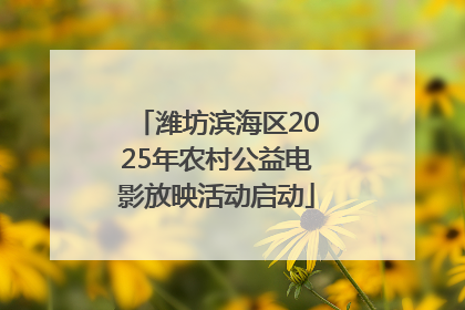 潍坊滨海区2025年农村公益电影放映活动启动