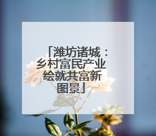 潍坊诸城：乡村富民产业 绘就共富新图景