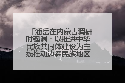 潘岳在内蒙古调研时强调：以推进中华民族共同体建设为主线推动边疆民族地区高质量发展