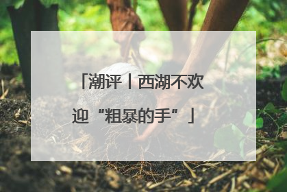 潮评丨西湖不欢迎“粗暴的手”