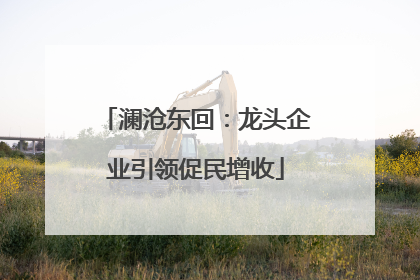 澜沧东回：龙头企业引领促民增收