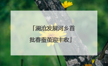 澜沧发展河乡首批春蚕茧迎丰收