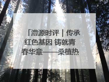 澧源时评｜传承红色基因 铸就青春华章——桑植热土上的青春长征
